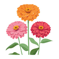 Vibrant Zinnia Blooms in a Beautiful Arrangement
