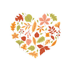 Autumn leaves in the shape of a heart