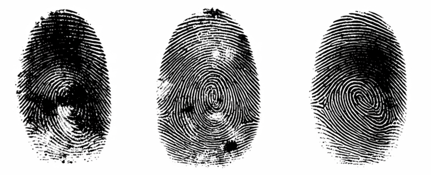 finger print on white