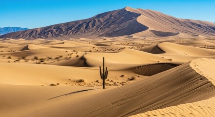 Desert landscape with sand dunes and a lone cactus under a clear blue sky.