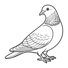 Fototapeta premium Illustration vector of a pigeon coloring page