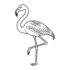 vector illustration of a flamingo