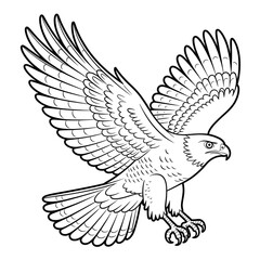 A beautiful line drawing of a hawk coloring page