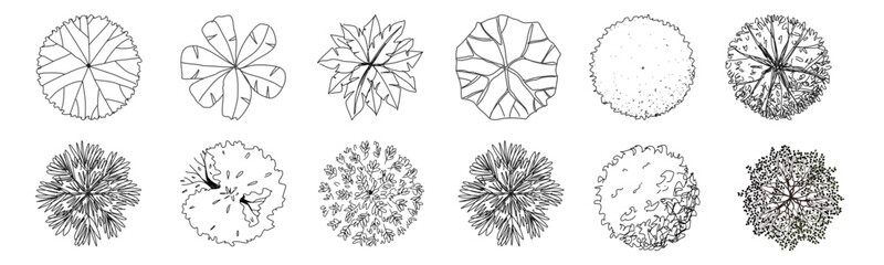 Versatile tree top view vector illustration set, perfect for architectural designs and landscape planning. tree silhouettes enhance any project with natural elegance © MR.AK