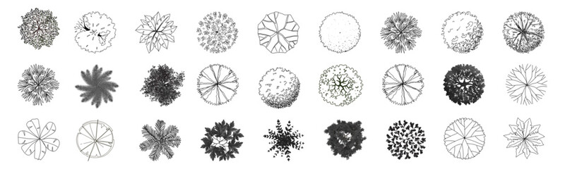 Versatile tree top view illustration set, perfect for architectural designs and landscape planning. tree silhouettes enhance any project with natural elegance