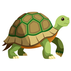 Cartoon tortoise walking with green shell and legs isolated on white background