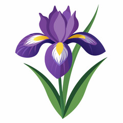 Naklejka premium Stylized purple iris flower with green leaves isolated on white background