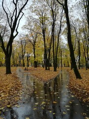 Tree Park in Kaunas, Lithuania
