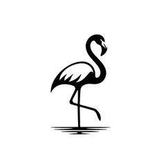 Obraz premium flamingo silhouette , flamingo vector