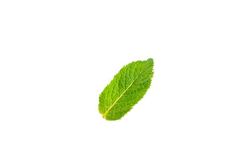 Fototapeta premium Mint. Fresh organic mint leaves isolated on white background. Mint leaves. Peppermint. Close-up.