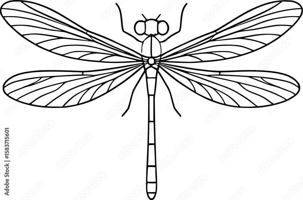 Poster line art vector of damselfly with thin wings and hovering pose, clean symmetrical lines, isolated on