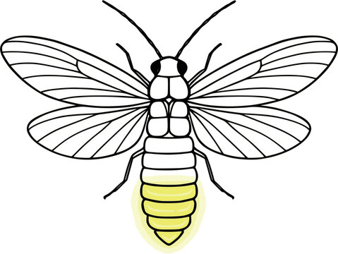 glowing firefly outline on white background clip art preview