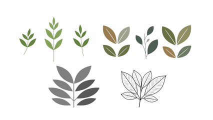leaf vector illustration