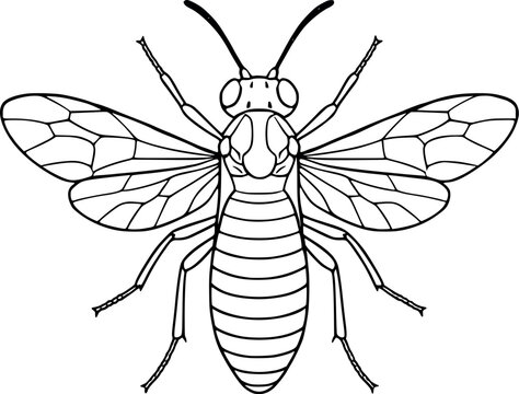 black and white wasp outline clip art preview