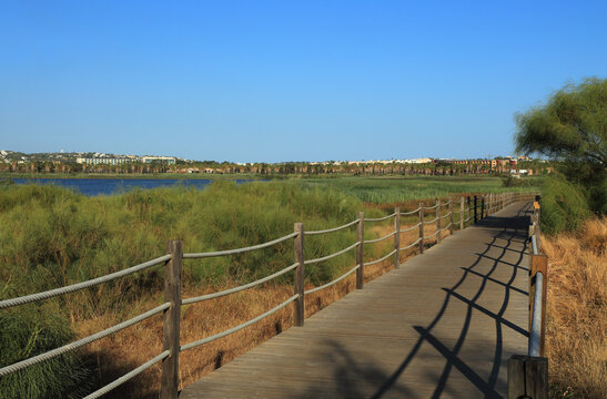 Portugal, Algarve. Lagoa dos Salgados is a typical coastal lagoon &ndash; a body of water bordered by aquatic vegetation and separated from the sea by an extensive, unbroken dune cordon. Boardwalk view.