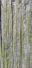Close-up of weathered wooden planks covered with green moss. The rough texture, cracks, and natural growth create an aged, organic look, perfect for nature, decay, or eco-themed design elements.