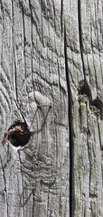A collection of high-resolution architectural textures including weathered wood planks, rusted cast iron details, concrete columns, copper pipes, and brick walls. Perfect for use in 3D modeling, backg