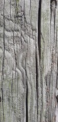 A collection of high-resolution architectural textures including weathered wood planks, rusted cast iron details, concrete columns, copper pipes, and brick walls. Perfect for use in 3D modeling, backg