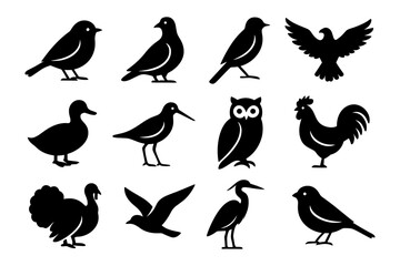 Silhouette collection of diverse bird species in simple black design