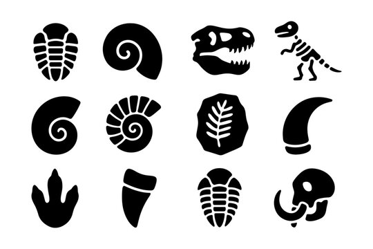 Dinosaur silhouette fossils and artifacts collection of ancient remains