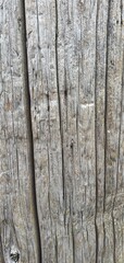 A collection of high-resolution architectural textures including weathered wood planks, rusted cast iron details, concrete columns, copper pipes, and brick walls. Perfect for use in 3D modeling, backg