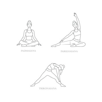 Yoga Poses Padmasana Parighasana Trikonasana   Illustrations of Yoga Asanas for Beginners