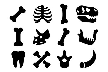 Silhouette dinosaur and human bones collection for educational use