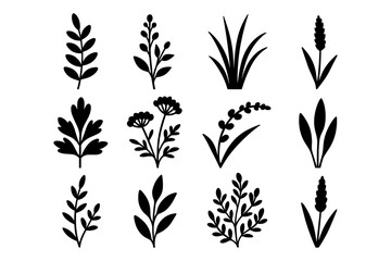 Nature-inspired silhouettes: diverse leaf and plant designs collection