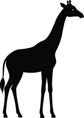 Giraffe on Savanna Silhouette Vector Art Illustration