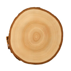 Close up view of a tree ring cross section with bark on a black background