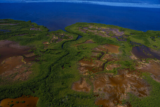 Aerial view of a tapestry of green mangrove forests meeting the tranquil blue waters, creating a striking contrast of life and serenity, Merida, Yucatan, Mexico.