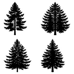 Fototapeta premium Four black silhouettes of pine trees with detailed branches and needles on a white background in a square layout