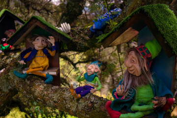 El Bosque de los duendes 