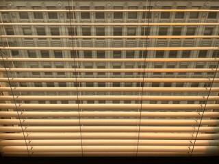 View through horizontal wooden window blinds showing a classic urban building facade with repetitive window patterns and architectural detailing in warm, filtered light