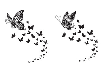 flying butterfly silhouette collection, flying butterfly silhouette logo, Silhouette butterfly vector design, flying butterflies silhouette set, black butterfly silhouettes on wing on white background © Adobe design