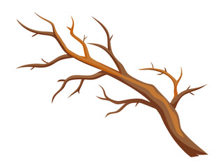 Branch of dry tree vector flat illustration