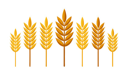 Wheat, barley, oats vector set