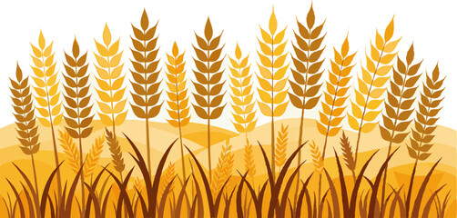 Wheat field vector flat background
