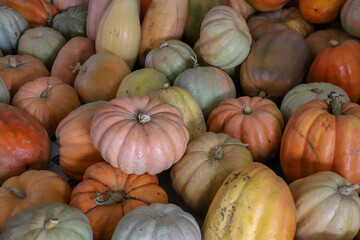 Variety of Colorful Pumpkins Displayed at a Farmers' Market in Autumn