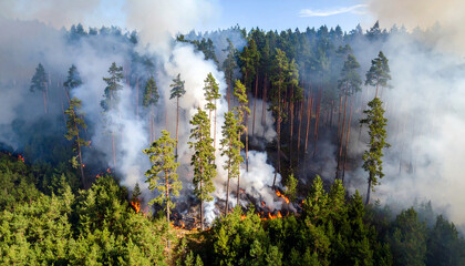 Humo durante un incendio en un bosque verde en verano