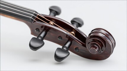 Close-up of violin headstock. High-quality wood grain