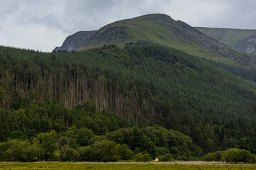 Vast Green Forest and a Majestic Mountain in the Welsh Countryside