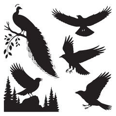 Obraz premium Black Bird Silhouettes Set - Flying, Perching, and Standing
