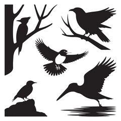 Obraz premium Black Bird Silhouettes Set - Flying, Perching, and Standing