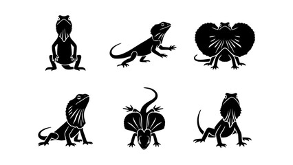 Naklejka premium A set of silhouettes of frilled neck lizards, each uniquely displayed and detailed