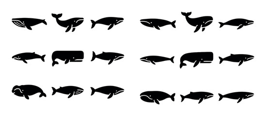 Whale Icon Set