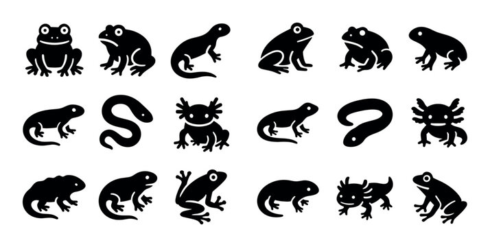 Amphibian Icon Set