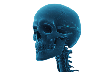 Isolated Futuristic Holographic Skull with Digital Interface