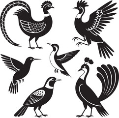 Fototapeta premium Diverse birds in black silhouette white background