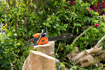 Powerful 20-Inch Gas Chainsaw Resting on Tree Stump in Lush Overgrown Backyard After Tree Cutting Work – Outdoor Garden Maintenance, Forestry, Logging, and Landscaping Equipment Concept